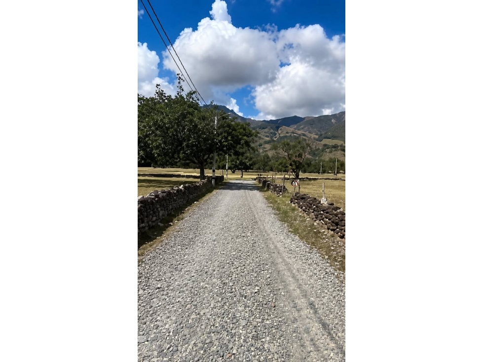 290 - Venta de Parcelación Santa Fe de Antioquia - 3