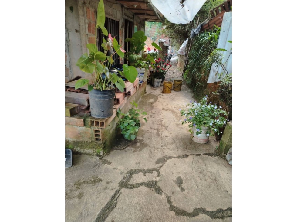 C103 - Venta de Casa lote en el Vergel San Antonio de Prado.