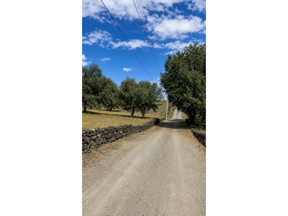 290 - Venta de Parcelación Santa Fe de Antioquia - 5