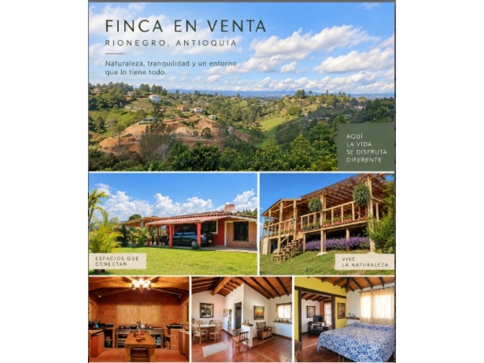 Venta de Finca en Rionegro Vereda San Luis — foto 4