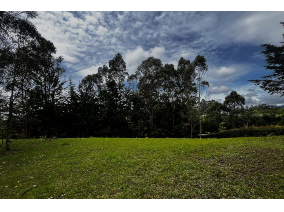 Venta Lote San Antonio de Pereira - 5