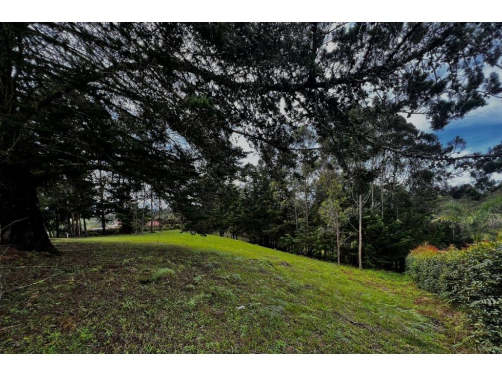 Venta Lote San Antonio de Pereira - 3