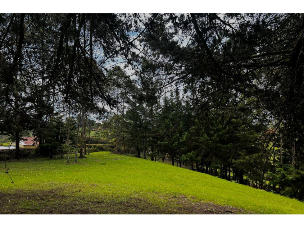 Venta Lote San Antonio de Pereira - 2