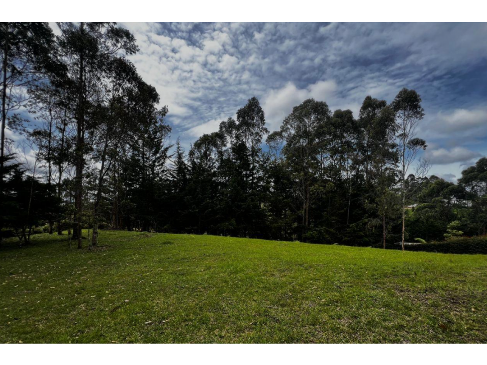 Venta Lote San Antonio de Pereira - 6