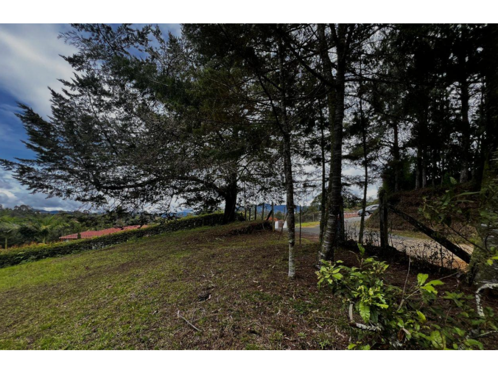 Venta Lote San Antonio de Pereira - 4