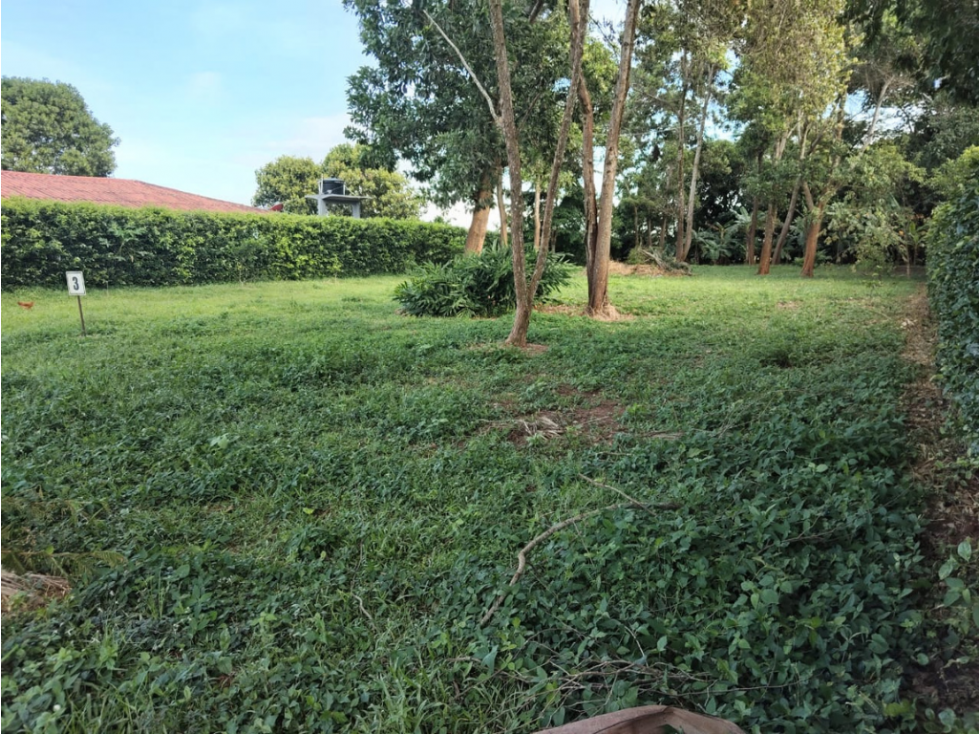 BRO venta de lote campestre en Cumaral 1.640 m2 - 4