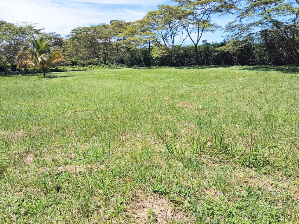 BRO venta de lote en Condominio Santafiora 1.400 m2 - 5