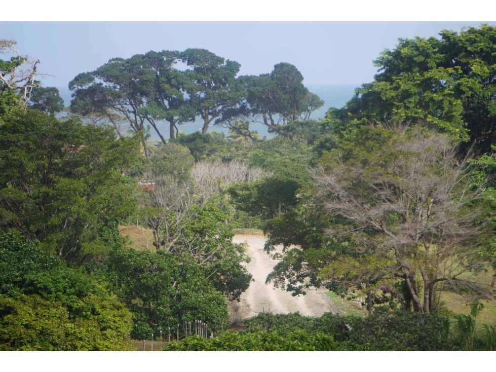 VENTA TERRENO DE 1100 HECTARIAS COSTA ABAJO DE COLÓN - PANAMÁ - 1