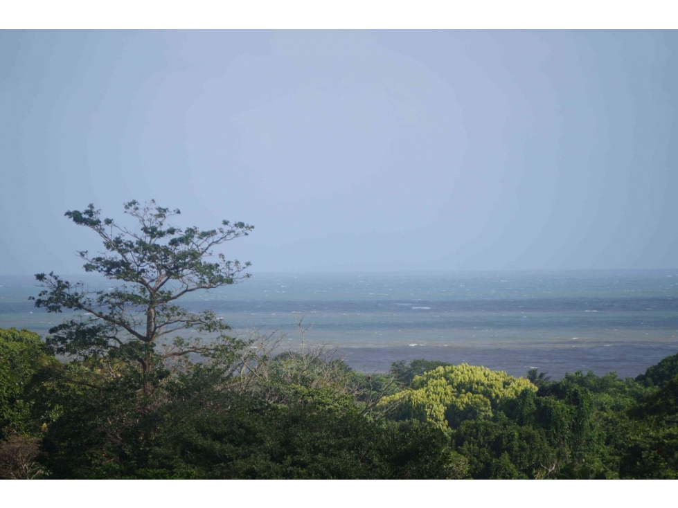 VENTA TERRENO DE 1100 HECTARIAS COSTA ABAJO DE COLÓN - PANAMÁ - 2