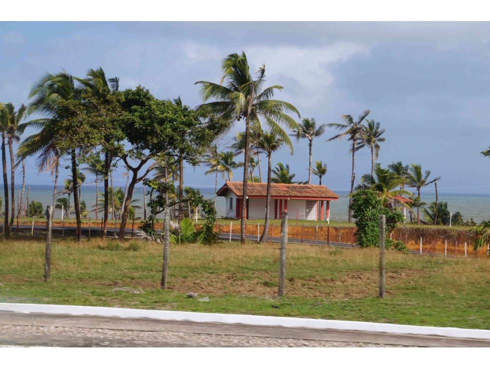 VENTA TERRENO DE 1100 HECTARIAS COSTA ABAJO DE COLÓN - PANAMÁ - 3