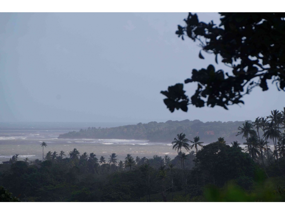 VENTA TERRENO DE 1100 HECTARIAS COSTA ABAJO DE COLÓN - PANAMÁ - 4
