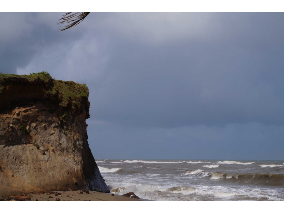 VENTA TERRENO DE 1100 HECTARIAS COSTA ABAJO DE COLÓN - PANAMÁ - 5