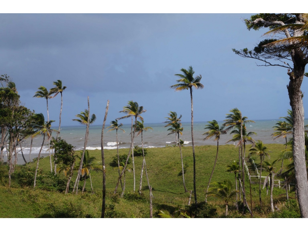 VENTA TERRENO DE 1100 HECTARIAS COSTA ABAJO DE COLÓN - PANAMÁ - 6