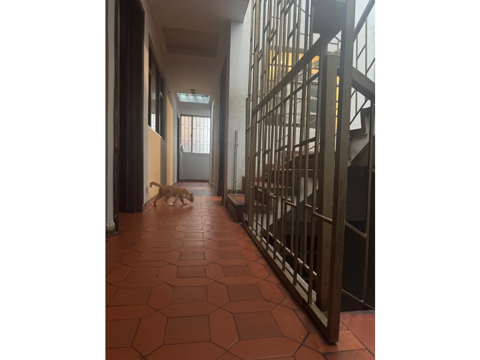 VENTA DE GRAN CASA EN TABORA — foto 3