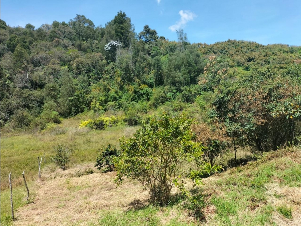 Lote en Venta — foto 2