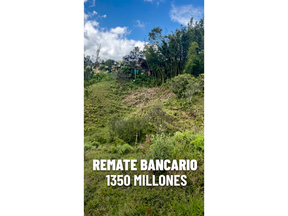 LOTE EN RIONEGRO - SE PUEDE PARCELAR UNICA — foto 3