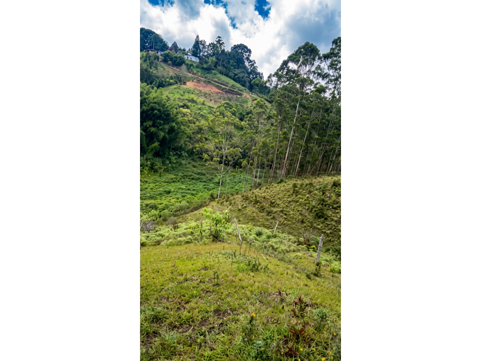 LOTE EN RIONEGRO - SE PUEDE PARCELAR UNICA — foto 5
