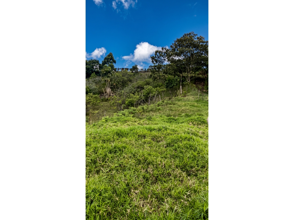 LOTE EN RIONEGRO - SE PUEDE PARCELAR UNICA — foto 6