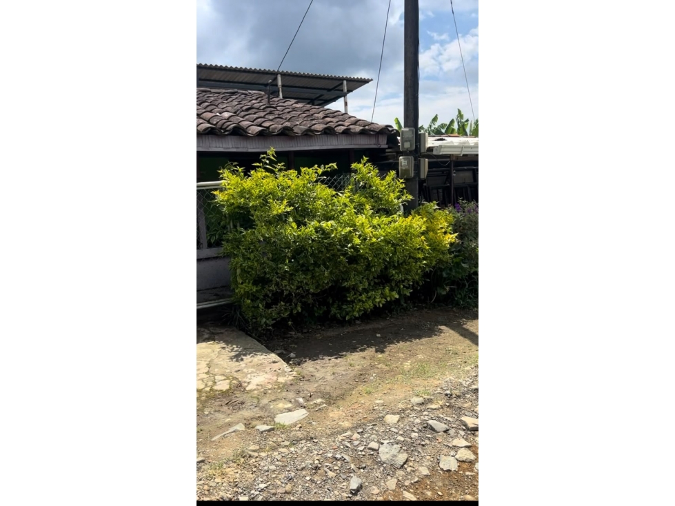se vende casa lote en santa rosa vereda guaimaral — foto 2