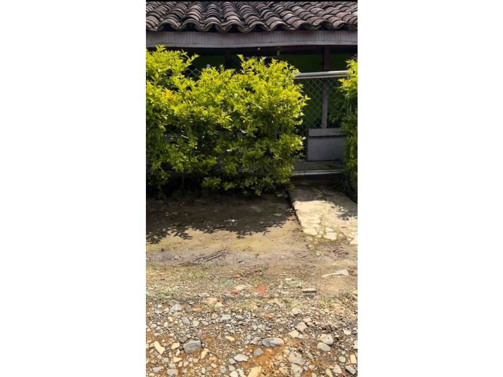 se vende casa lote en santa rosa vereda guaimaral — foto 3