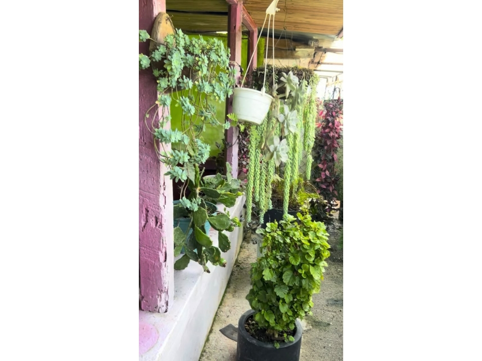 se vende casa lote en santa rosa vereda guaimaral — foto 6