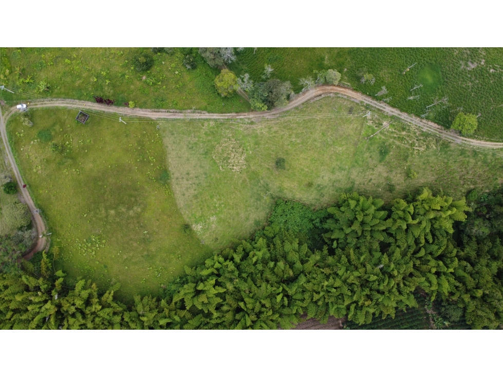 SENDEROS DEL JAZMIN PROYECTO CAMPESTRE — foto 2