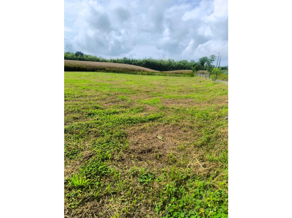 SE VENDE LOTE CAMPESTRE CERRITOS, PEREIRA