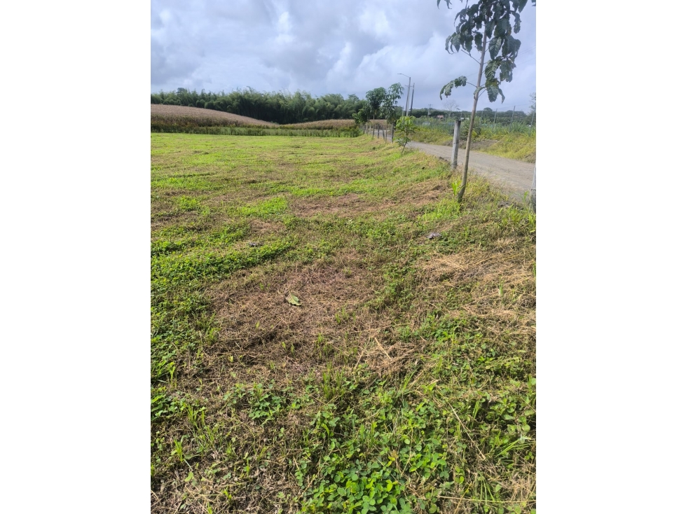 SE VENDE LOTE CAMPESTRE CERRITOS, PEREIRA — foto 2