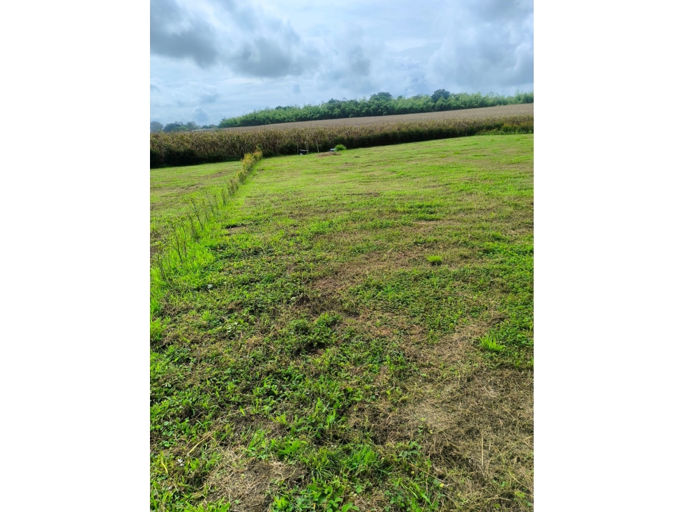 SE VENDE LOTE CAMPESTRE CERRITOS, PEREIRA — foto 3