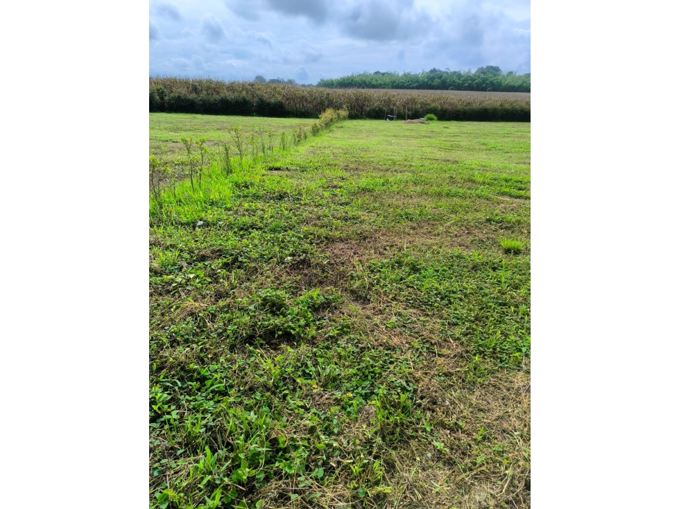 SE VENDE LOTE CAMPESTRE CERRITOS, PEREIRA — foto 4