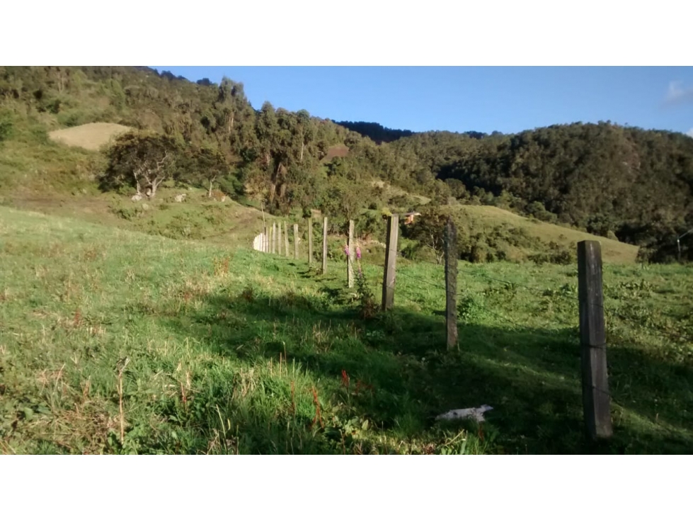 VENTA LOTES EN ANAPOIMA (MG) - 1