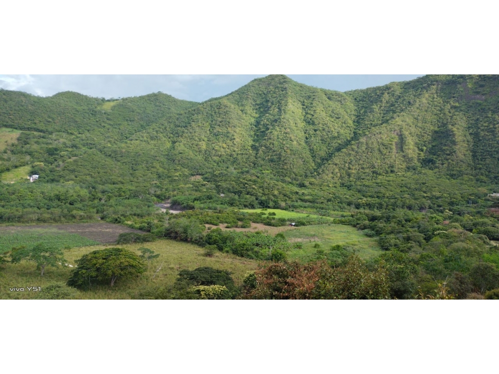 VENTA LOTES EN ANAPOIMA (MG) - 5