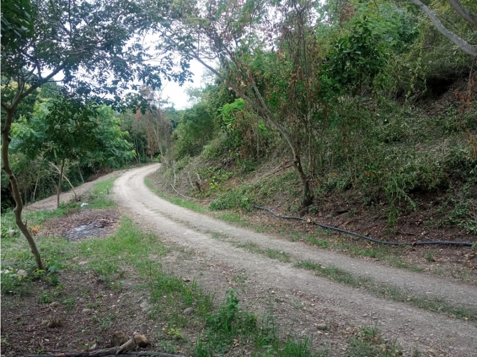 VENTA LOTES EN ANAPOIMA (MG) - 4
