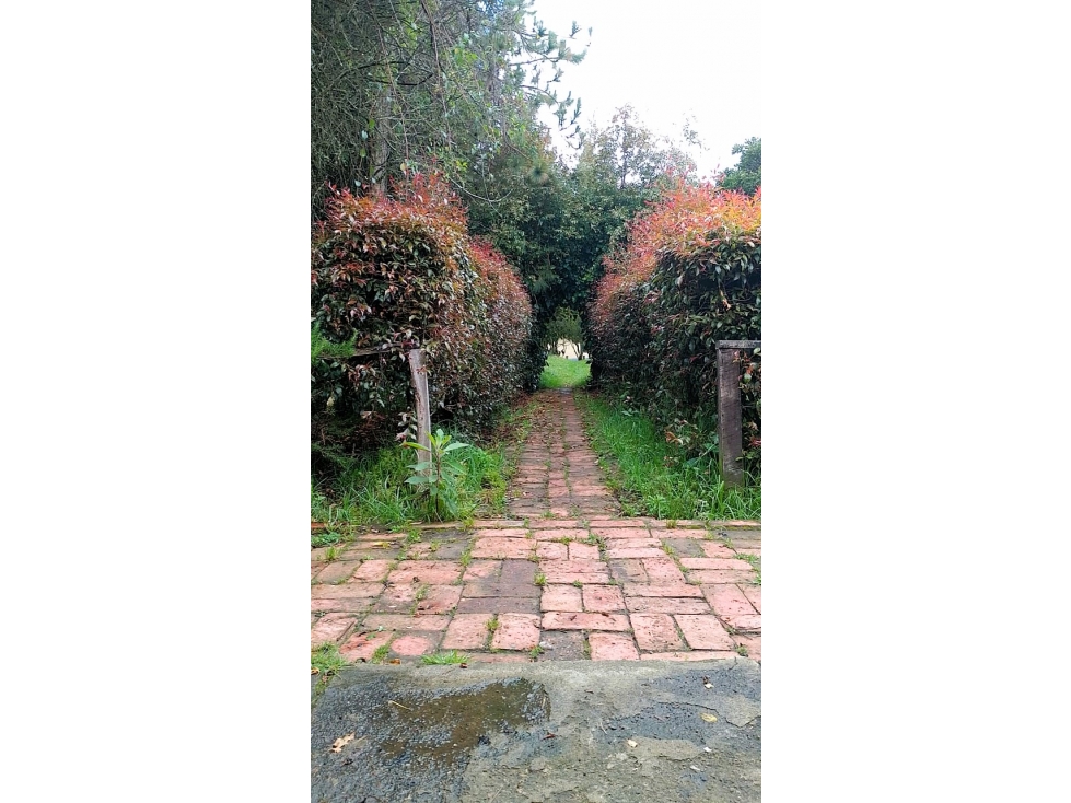 Venta Finca Guasca Vereda Santa Ana (AF) — foto 4