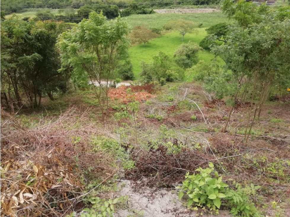 VENTA LOTES EN ANAPOIMA (MG) - 3