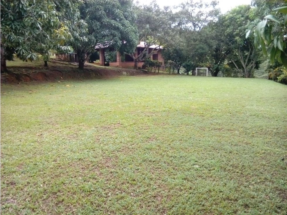 FINCA SAN JERONIMO — foto 4