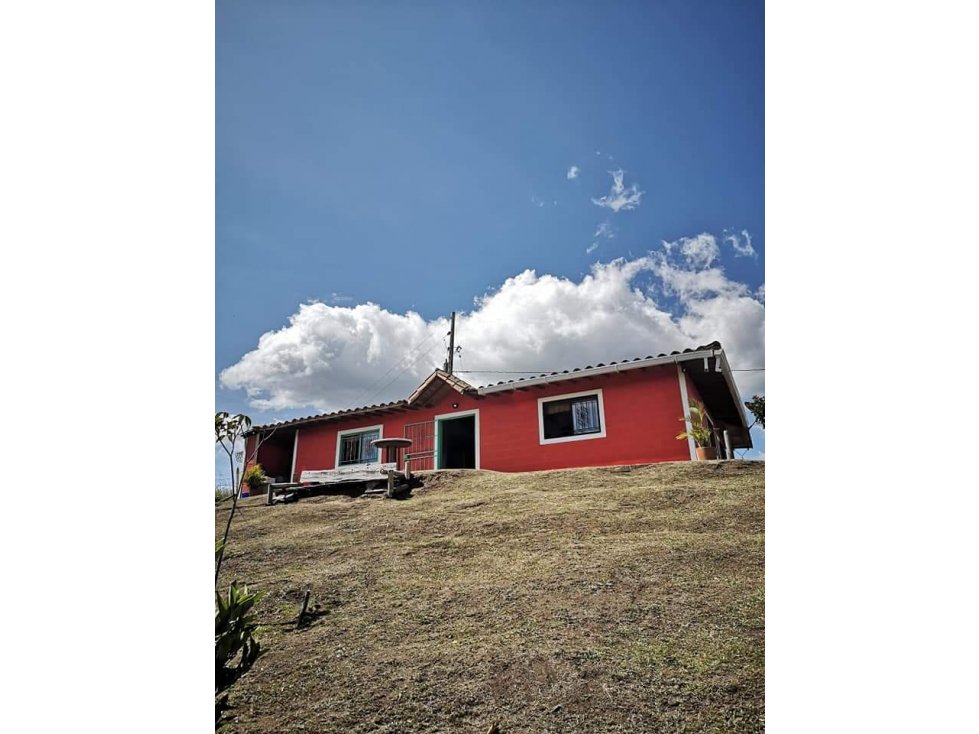FINCA VEREDA SAN LUIS RIONEGRO — foto 3