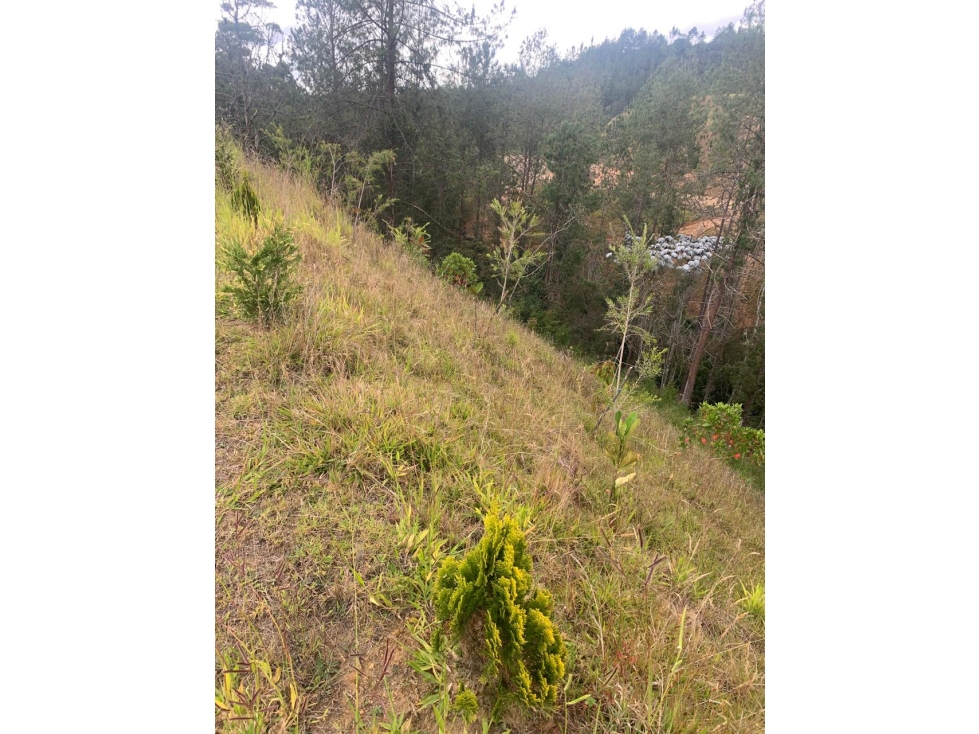 LOTE PRIVADO EL RETIRO VEREDA LEJOS DEL NIDO, EN PARCELACION — foto 6