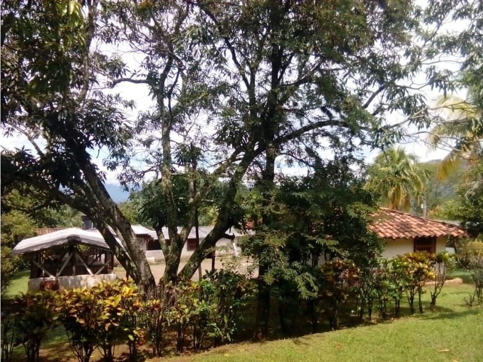 FINCA SAN JERONIMO — foto 3