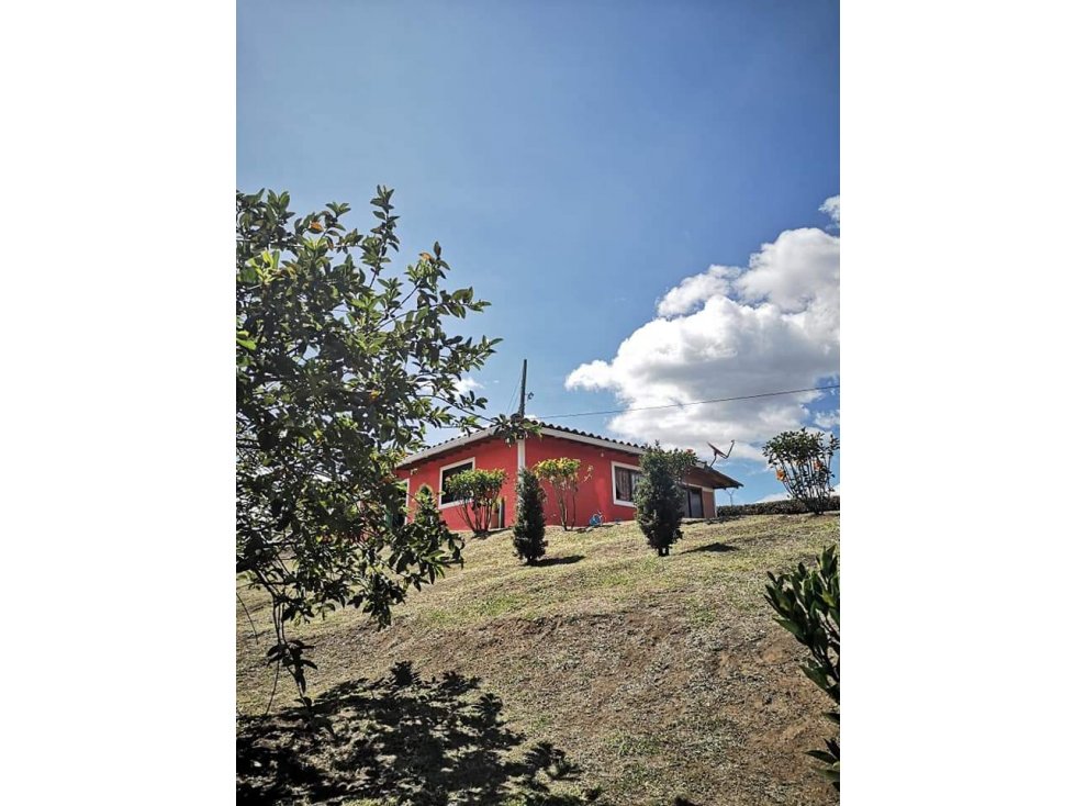 FINCA VEREDA SAN LUIS RIONEGRO — foto 4