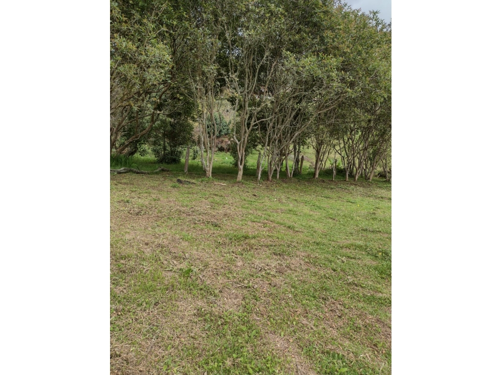 LOTE GUARNE PROINDIVISO PERFECTO PARA PARCELAR