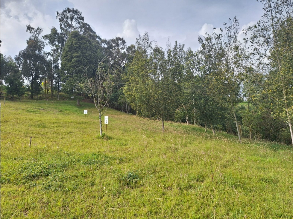 LOTES EN PARCELACION CAMPESTRE ENVIGADO ALTO DE LAS PALMAS — foto 3