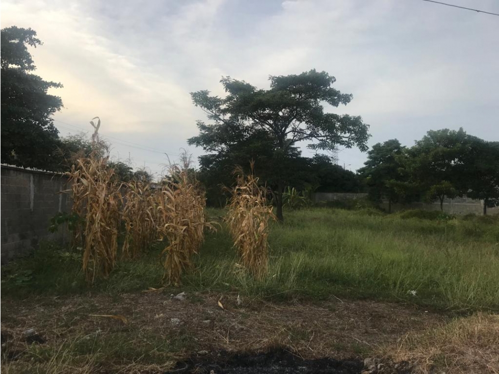LOTE SOLEDAD ATLANTICO - 3