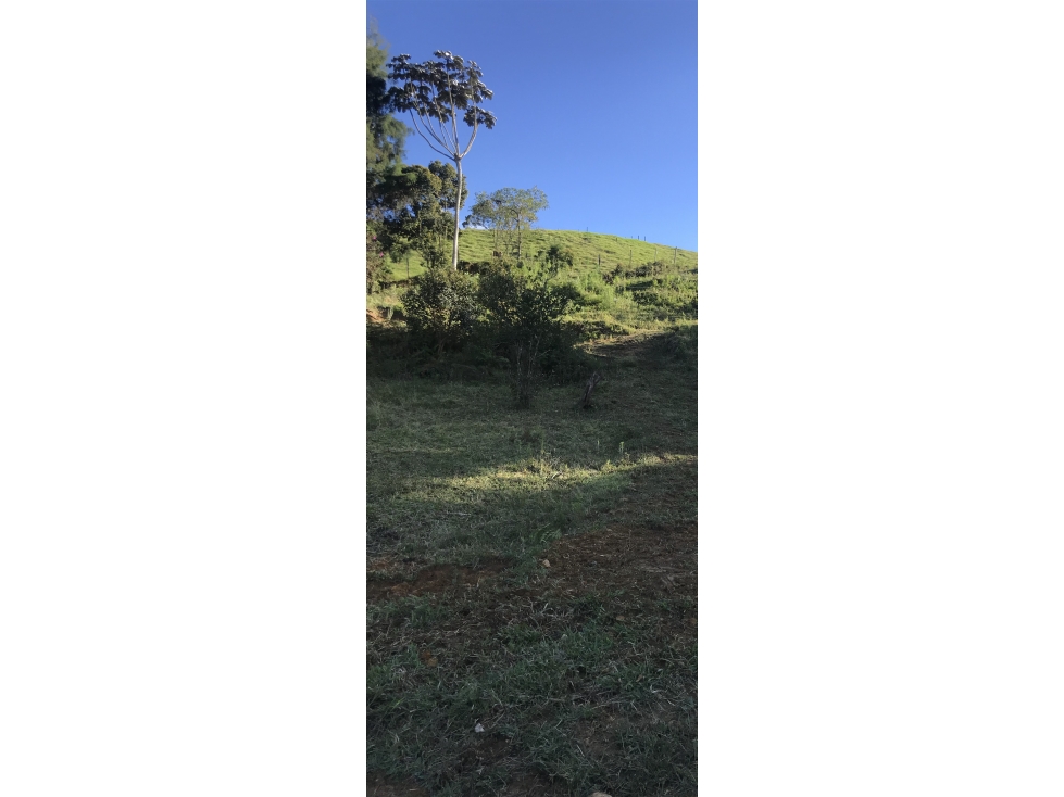 LOTE INDEPENDIENTE GUARNE VEREDA EL SANGO PARTE ALTA - 1