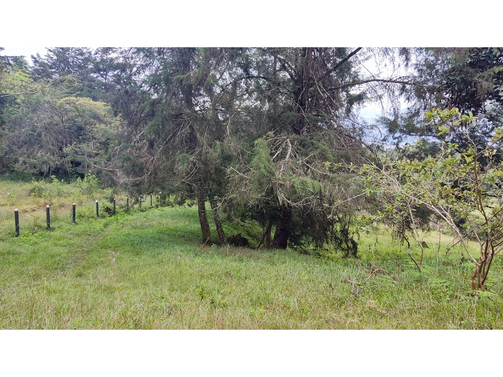 LOTE EN SANTUARIO VEREDA POTRERITO SE PUEDE SUBDIVIDIR EN 5 LOTES