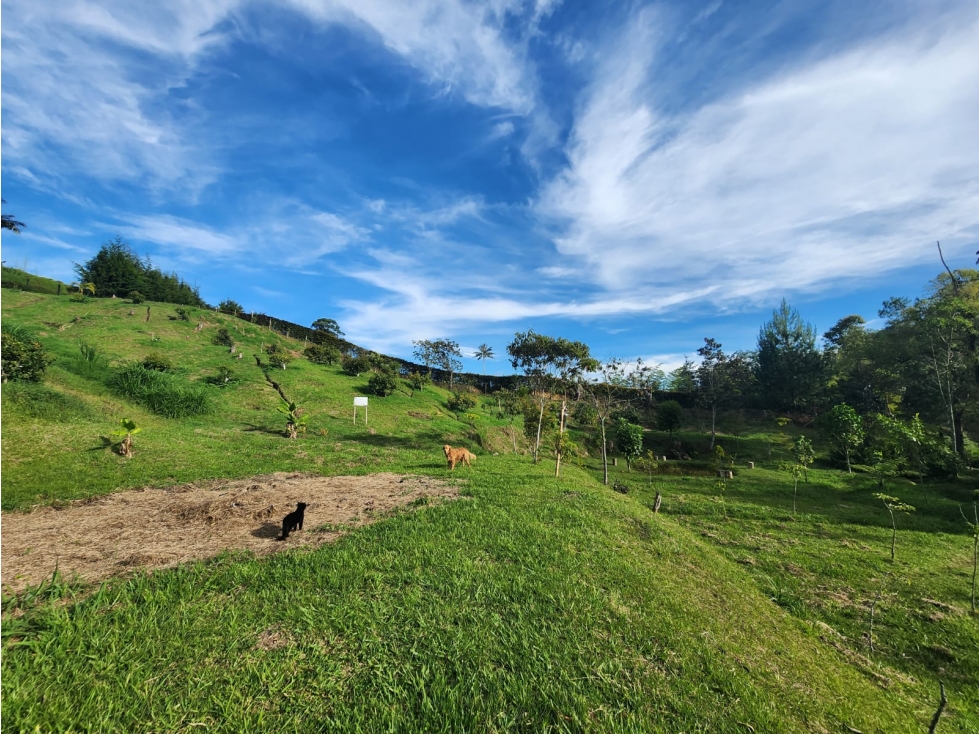 LOTE GUARNE VEREDA JUAN XXIII CON AGUA PROPIA