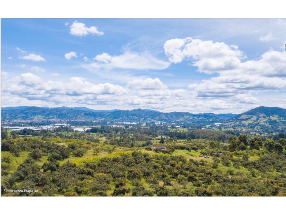 HERMOSO LOTE EN PARCELACION LA CEJA SECTOR EL YARUMO — foto 2
