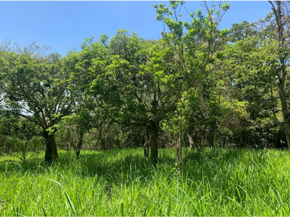 LOTE UBICADO EN ZONA EXCLUSIVA DE BARICHARA - 1