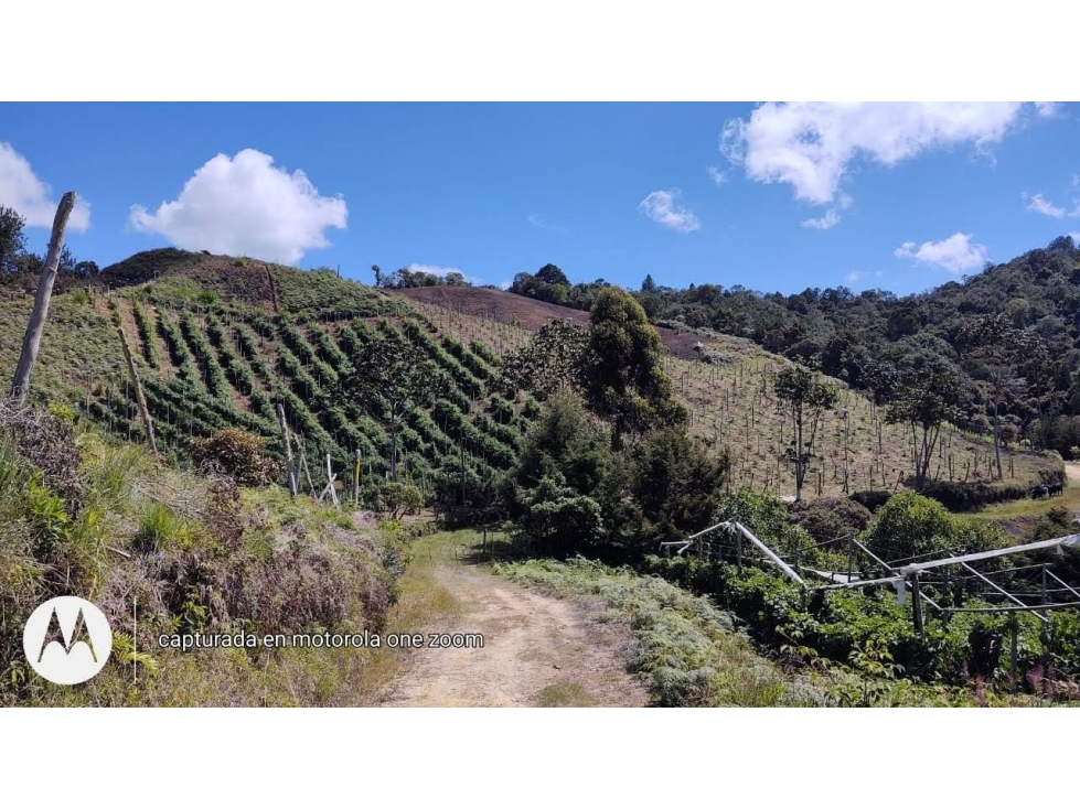 LOTE GUARNE VEREDA GUAPANTE PERFECTO PARA PARCELAR