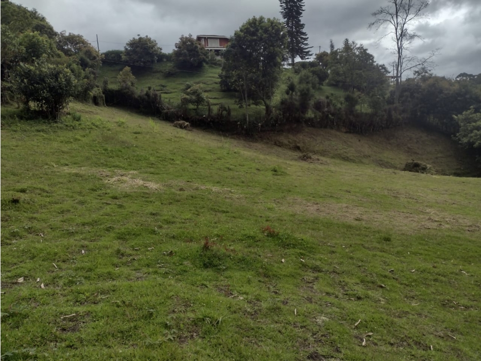 LOTE GUARNE VEREDA LA HONDA EN PROINDIVISO